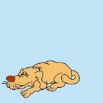 Dog Dreams