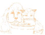 Dog and Cat