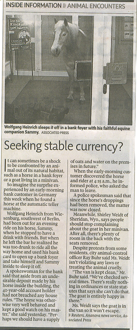 Seeking Stable Currency