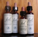 Bach Flower Essences